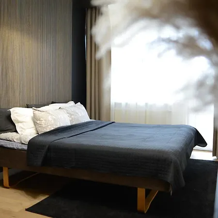 Palanga-apartamentai S Neries 14 Lejlighed