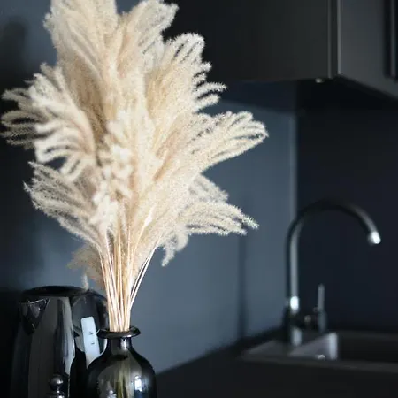 Palanga-apartamentai S Neries 14