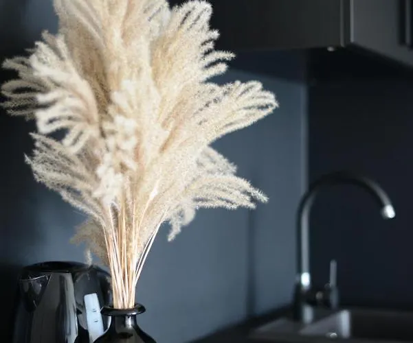 Palanga-apartamentai S Neries 14